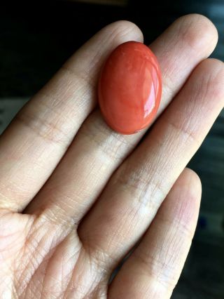 Antique old stock natural salmon red coral cabochon other amber turquoise 5