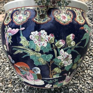 Pair CHINESE PORCELAIN FISH BOWL PLANTERS navy w/ frogs lotus birds grasshopper 11
