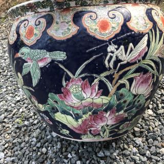 Pair CHINESE PORCELAIN FISH BOWL PLANTERS navy w/ frogs lotus birds grasshopper 5