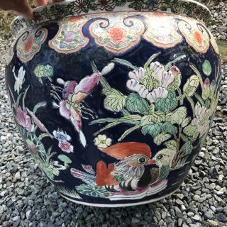 Pair CHINESE PORCELAIN FISH BOWL PLANTERS navy w/ frogs lotus birds grasshopper 7