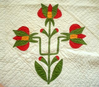 Antique vtg late 1800 ' s Carolina Lily Quilt 16 flower applique patchwork 11