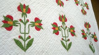 Antique vtg late 1800 ' s Carolina Lily Quilt 16 flower applique patchwork 2