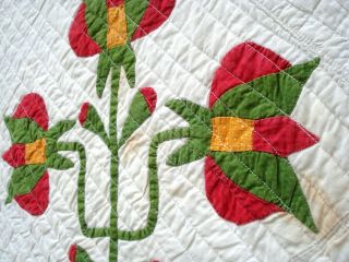 Antique vtg late 1800 ' s Carolina Lily Quilt 16 flower applique patchwork 4