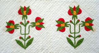 Antique vtg late 1800 ' s Carolina Lily Quilt 16 flower applique patchwork 6