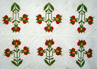 Antique vtg late 1800 ' s Carolina Lily Quilt 16 flower applique patchwork 7