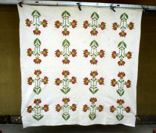 Antique vtg late 1800 ' s Carolina Lily Quilt 16 flower applique patchwork 8