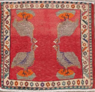 Vintage Hand - Knotted Animal Bird Pictorial Square Red Persian Oriental Rug 2 