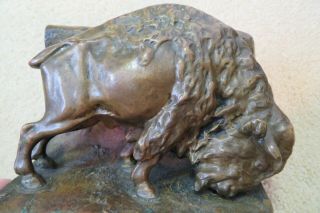 C.  1920s Bronze Buffalo Bison Bookends Signed Theodor Ullmann,  Austria No Reser