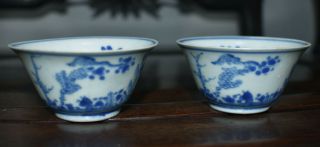 Two Shipwreck Qing Kangxi Blue And White Cups (scholar In Landscape A)