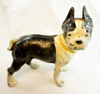 Pre 1940 Vintage Hubley Cast Iron Boston Terrier Doorstop - Over 12 Pounds