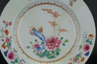 LARGE 33cm Fine Antique Chinese Famille Rose Porcelain Plate Charger 18th C 5