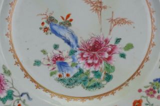 LARGE 33cm Fine Antique Chinese Famille Rose Porcelain Plate Charger 18th C 6