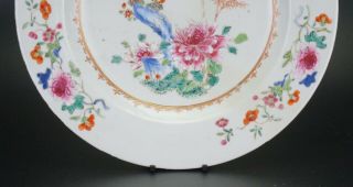 LARGE 33cm Fine Antique Chinese Famille Rose Porcelain Plate Charger 18th C 7