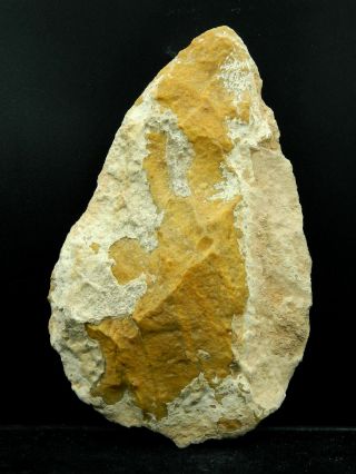 Ancient Quartzite,  Flint Crust Hand Axe - Acheulean Civilization - 18.  5cm Long - Sahara