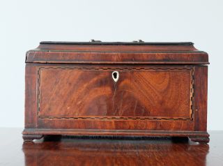 Antique Marquetry Mahogany Tea Caddy Georgian Boxwood Ebony Parquetry Inlay Box