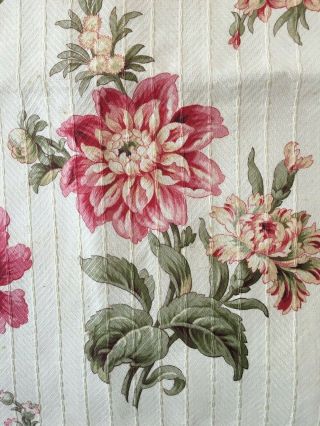 Absolutely 19th C.  French Botanical Floral Cotton Fabric.  (2604) 7