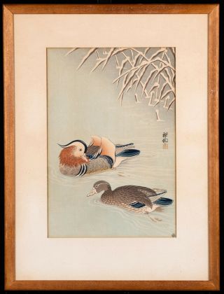 Ohara Koson (1877 - 1945) Mandarin Ducks In Snow,  Signed,  1935,  Framed
