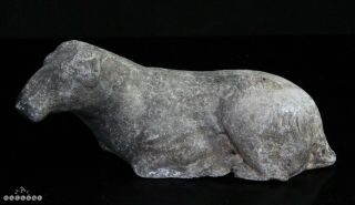 Authentic Chinese Han Dynasty Recumbent Horse Tom Figure 206bc - 220ad