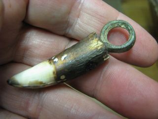 ANGLO SAXON BOARS TOOTH PENDANT WITH RING AND DOT DECORATION 3