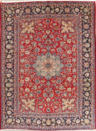 Traditional Persian Style Handmade Area Rug Oriental Floral 9 X 13 Carpet Wool