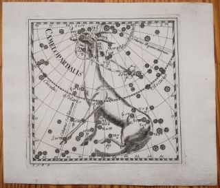 T.  Corbinian Very Rare Engraving Astronomy Camelopardalis - 1730