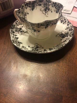 Rare Vintage Shelley England Black And White Cup & Saucer Fine Bone China 11
