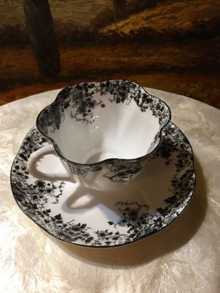 Rare Vintage Shelley England Black And White Cup & Saucer Fine Bone China 3