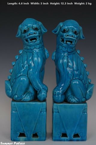 Fine Chinese Pair Peacock Blue Porcelain Foo Dogs Statues