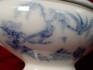 Antique Aesthetic THOMAS ELSMORE - PARISIAN GRANITE BLUE Pattern - SOUP TUREEN 3