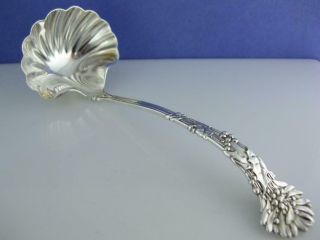 Rare Sterling Tiffany & Co Serving Ladle W/ Shell Shaped Bowl Holly 1895