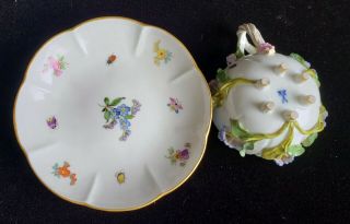 Exceptional Meissen Tea Set,  Insects Leaves,  Flowers,  Crossed Swords 6