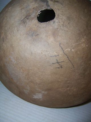 Pre - Columbian Mimbres Scorpion Pottery Bowl w/ Kill Hole 1000 - 1100 A.  D.  Artifact 12