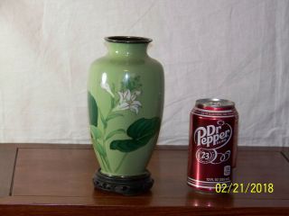Oriental Hand Made Cloisonne Vase w/Custom Box 2
