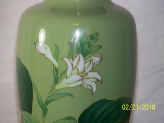 Oriental Hand Made Cloisonne Vase w/Custom Box 4