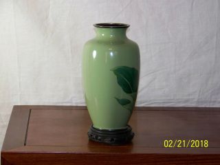 Oriental Hand Made Cloisonne Vase w/Custom Box 7