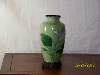 Oriental Hand Made Cloisonne Vase w/Custom Box 8