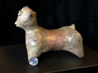 Pre Columbian,  West Mexico,  Nayarit Chinesco Dog,  250BCE - 250CE 10