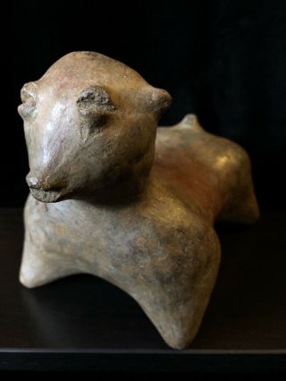 Pre Columbian,  West Mexico,  Nayarit Chinesco Dog,  250bce - 250ce