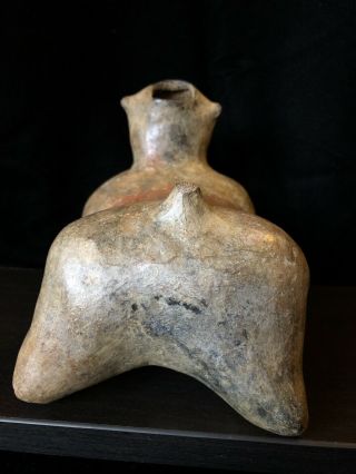 Pre Columbian,  West Mexico,  Nayarit Chinesco Dog,  250BCE - 250CE 6