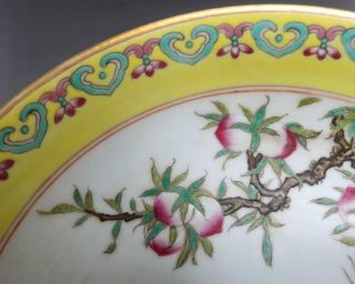 Antique Porcelain Chinese Famille - Rose Dish Qianlong Mark - crane 8