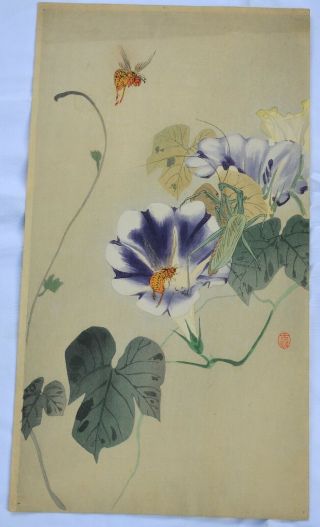 Ohara Koson (shoson) Morning Glory Flower W/ Wasp & Mantis Woodblock Print