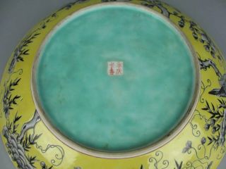 Chinese Antique Porcelain famille verte Flower and Bird Patterns plate 11