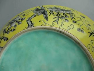 Chinese Antique Porcelain famille verte Flower and Bird Patterns plate 12