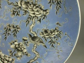 Chinese Antique Porcelain famille verte Flower and Bird Patterns plate 3