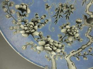 Chinese Antique Porcelain famille verte Flower and Bird Patterns plate 4