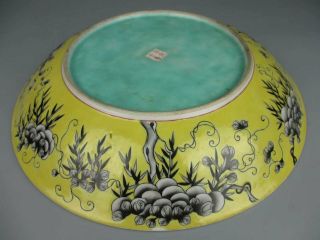Chinese Antique Porcelain famille verte Flower and Bird Patterns plate 7
