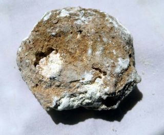 Xxl Brimstone Sulfur Sodom Gomorrah Dead Sea Bible Gifts Proof Unusual