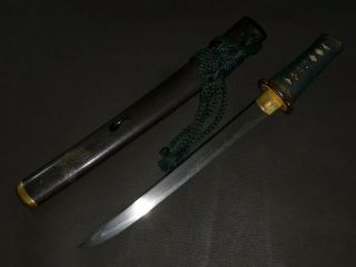 Yoroi Doushi Tanto (sword) W/koshirae : Edo : 17.  3 × 10 " 450g