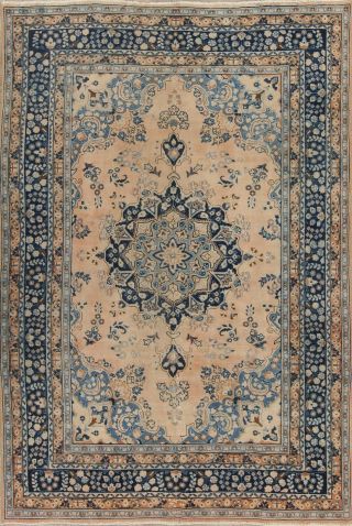 Antique Muted Peach & Blue Traditional Persian Area Rug Distressed Carpet 6x9