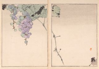 Authentic 19th Century Watanabe Seitei (shotei) Woodblock Print Exquisite Rare